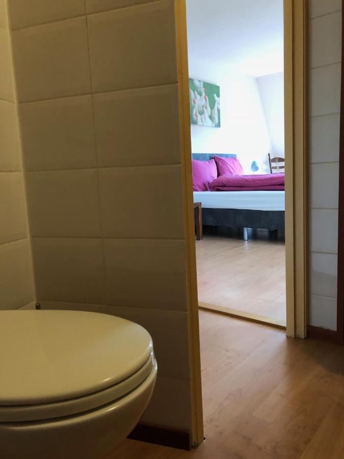 Vakantiehuis Het Voorhuis Op Landgoed Koepeltjesplaats Gaast Exterior photo